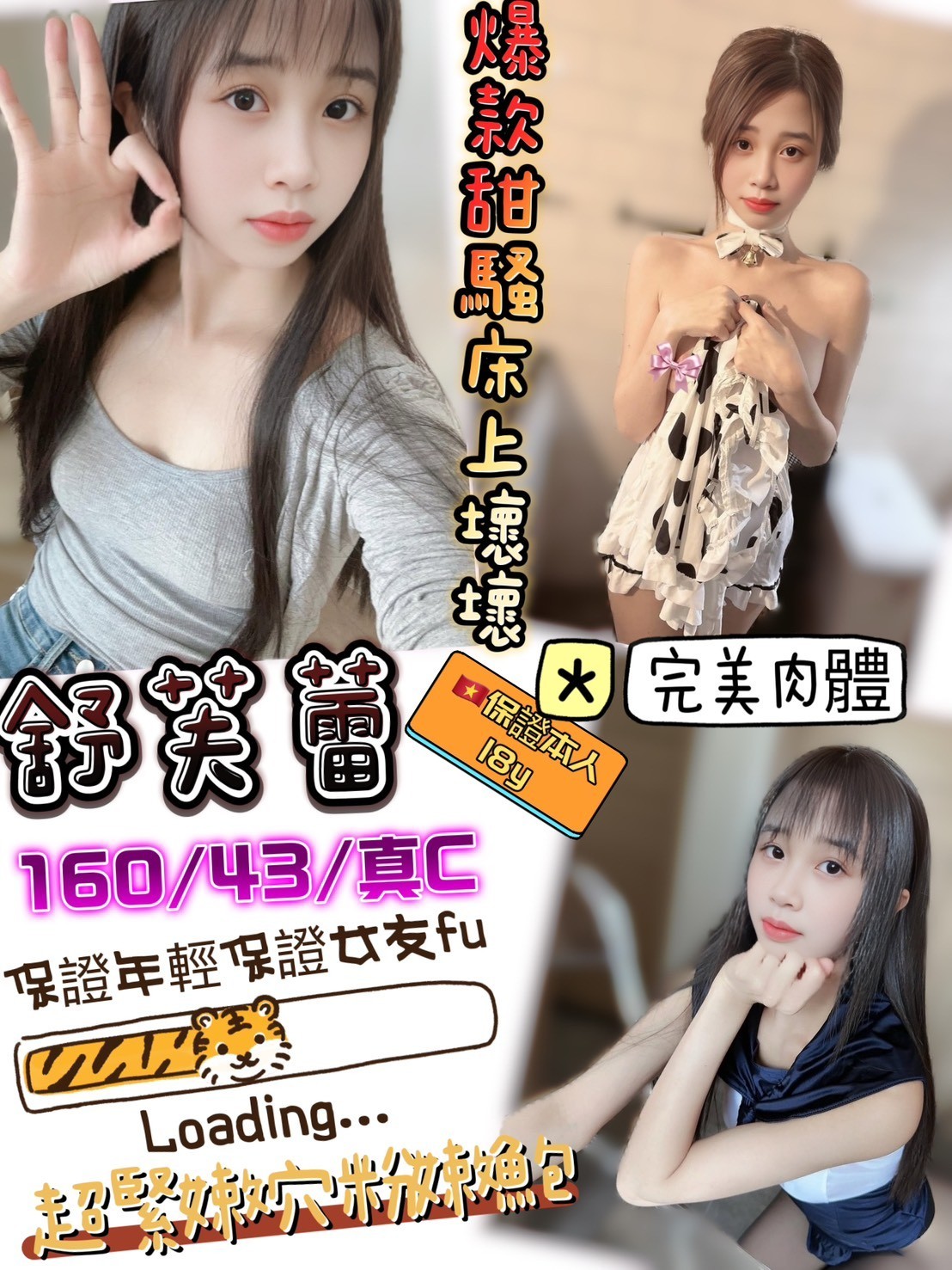 新竹金山 北區定點 新竹金山 北區定點